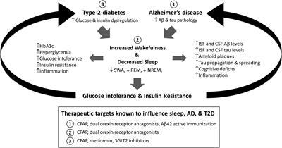 The Interaction Between Sleep and Metabolism in Alzheimer’s Disease: Cause or Consequence of Disease?